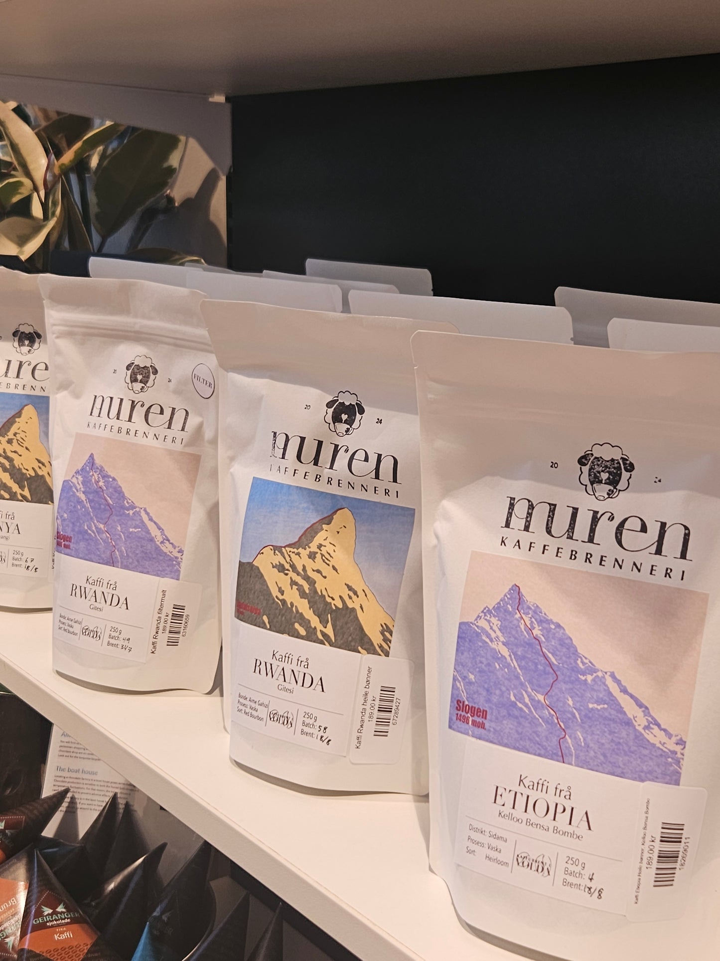 Muren kaffi