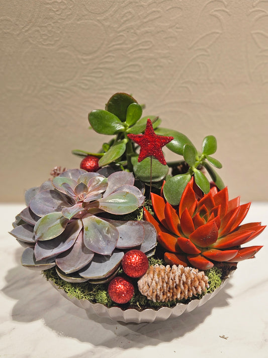 Allergivennleg samanplantning