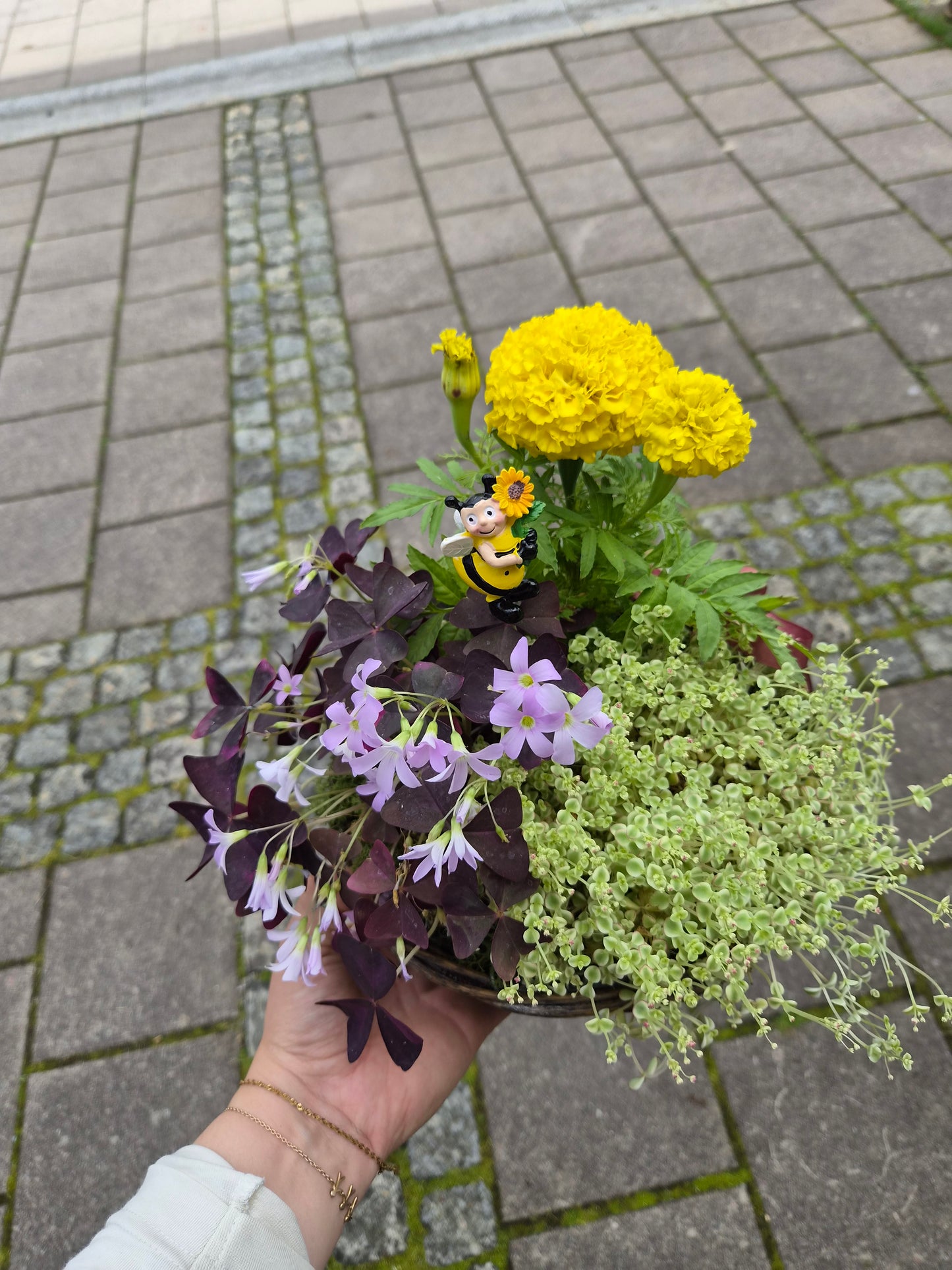 Sommarkorg
