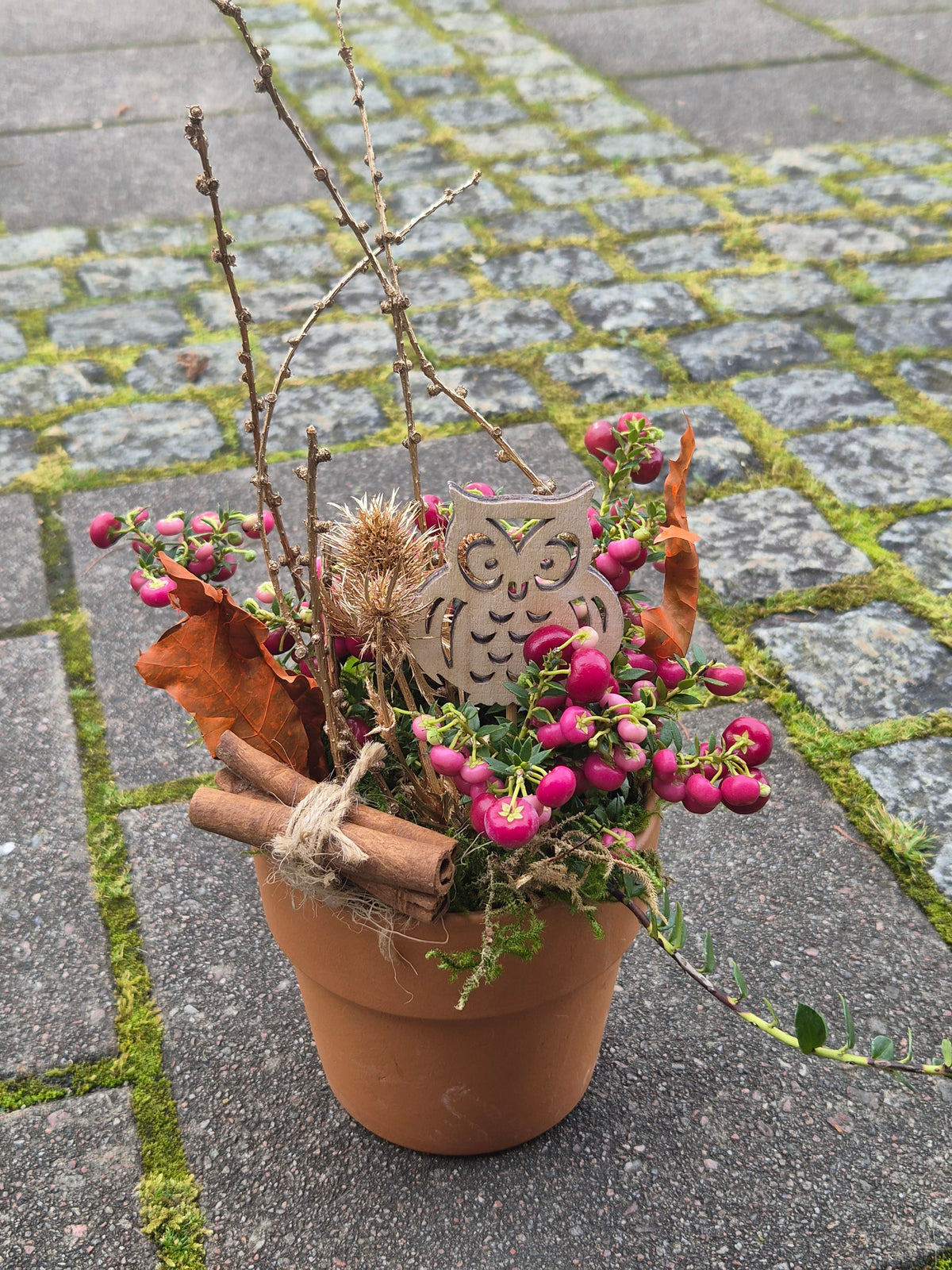 Pynta gaultheria i krukke