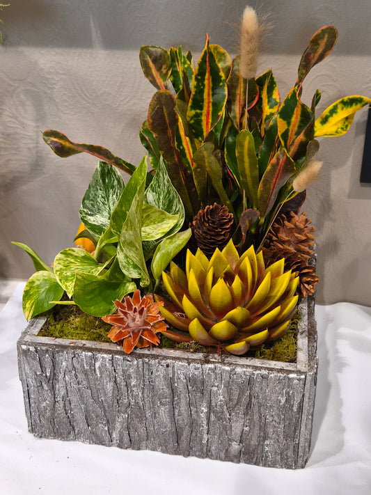 Stor haustfest i gruppe