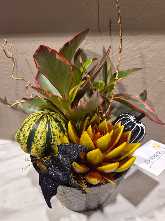 Halloween samanplanting