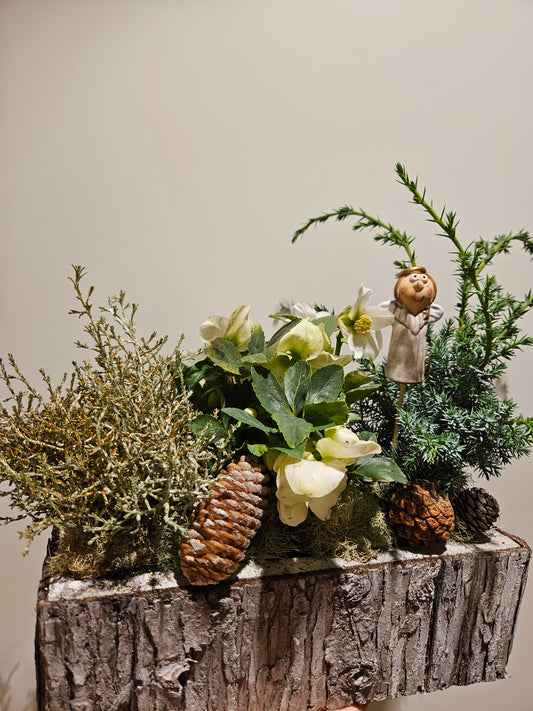 Glitterfest utesamanplantning