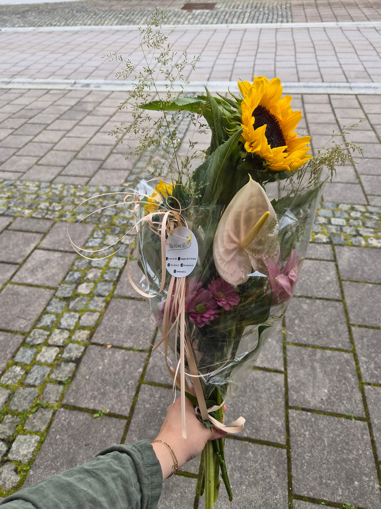 Høg solsikkedrøm