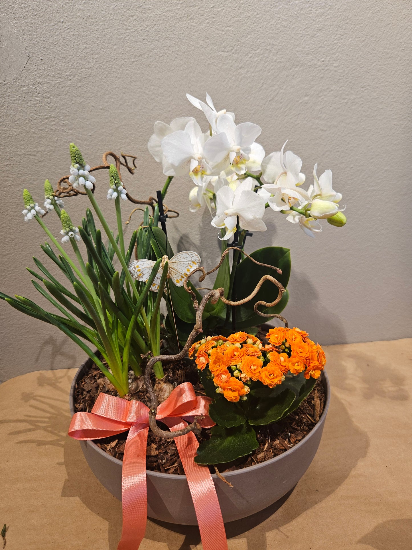 Lys samanplantning med orkide