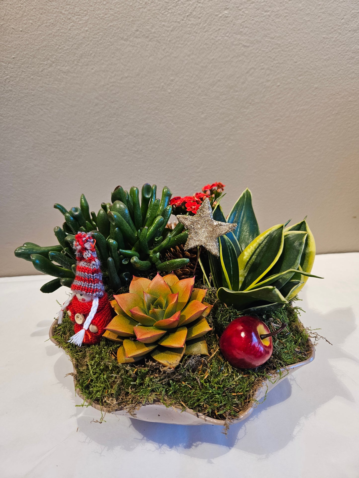 Allergivennleg nisseglede