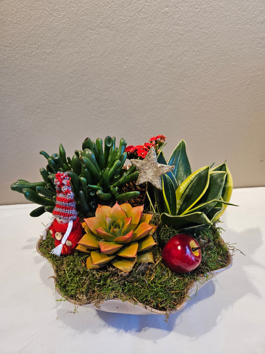 Allergivennleg nisseglede