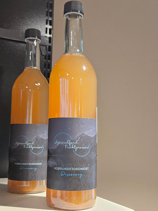 Hjørundfjordmost discovery