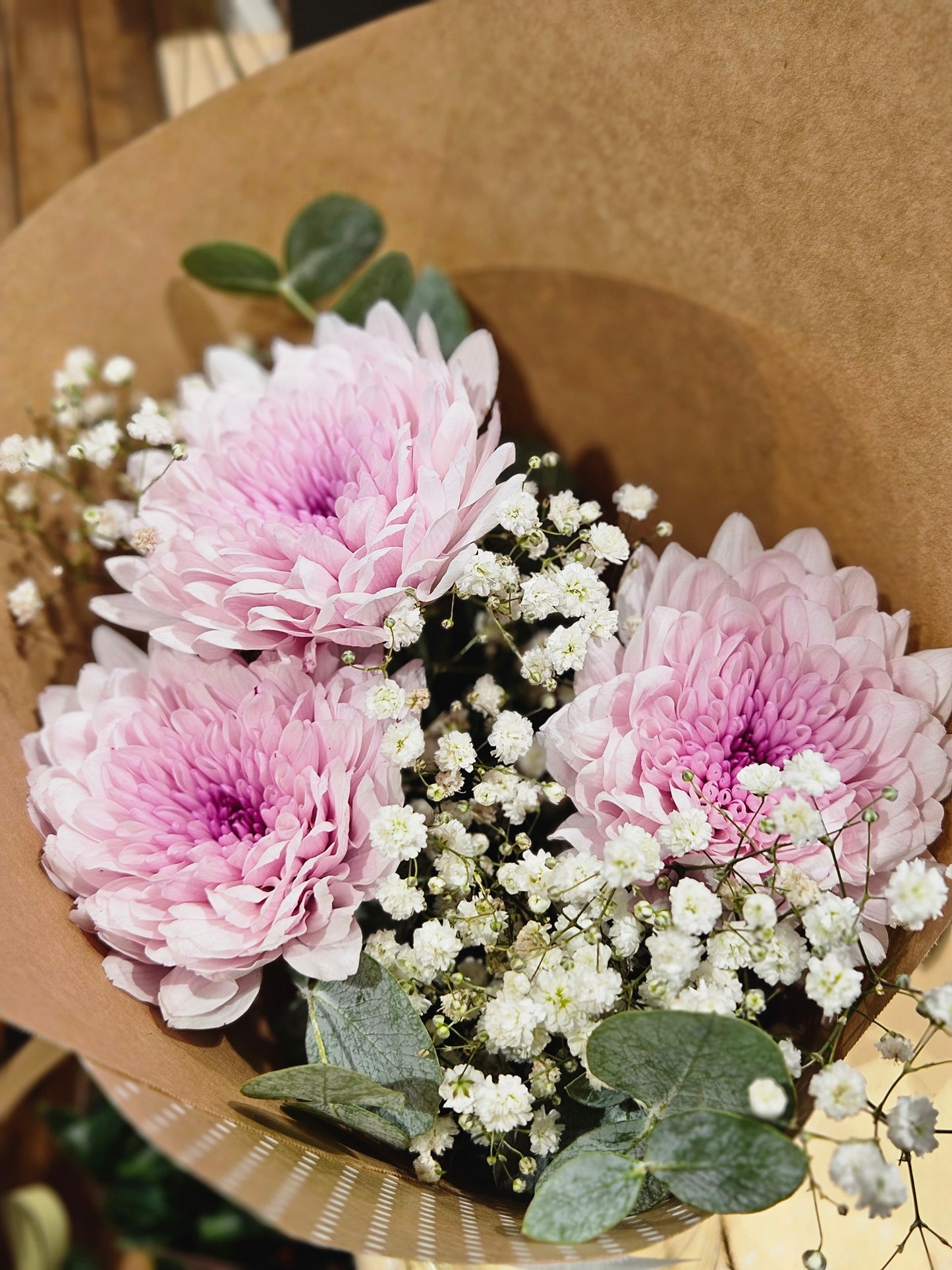Chrysanthemum mix liten