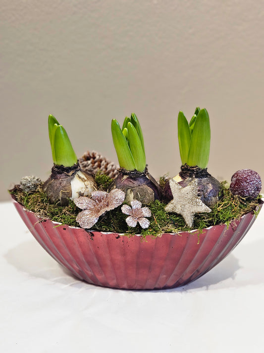 Svibel gruppe med pynt lilla eller blå