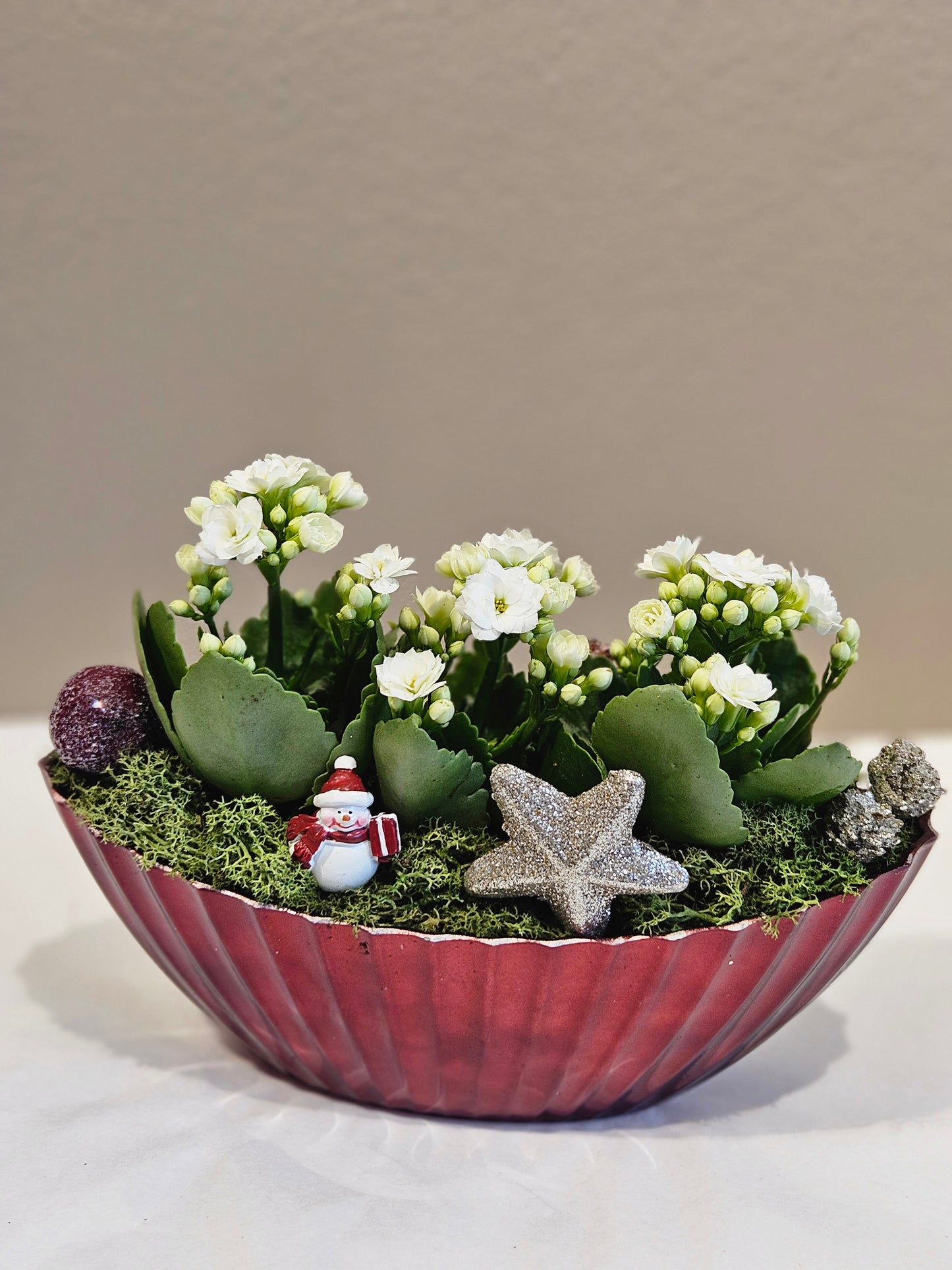 Allergivennleg samanplantning med kvite iltopp