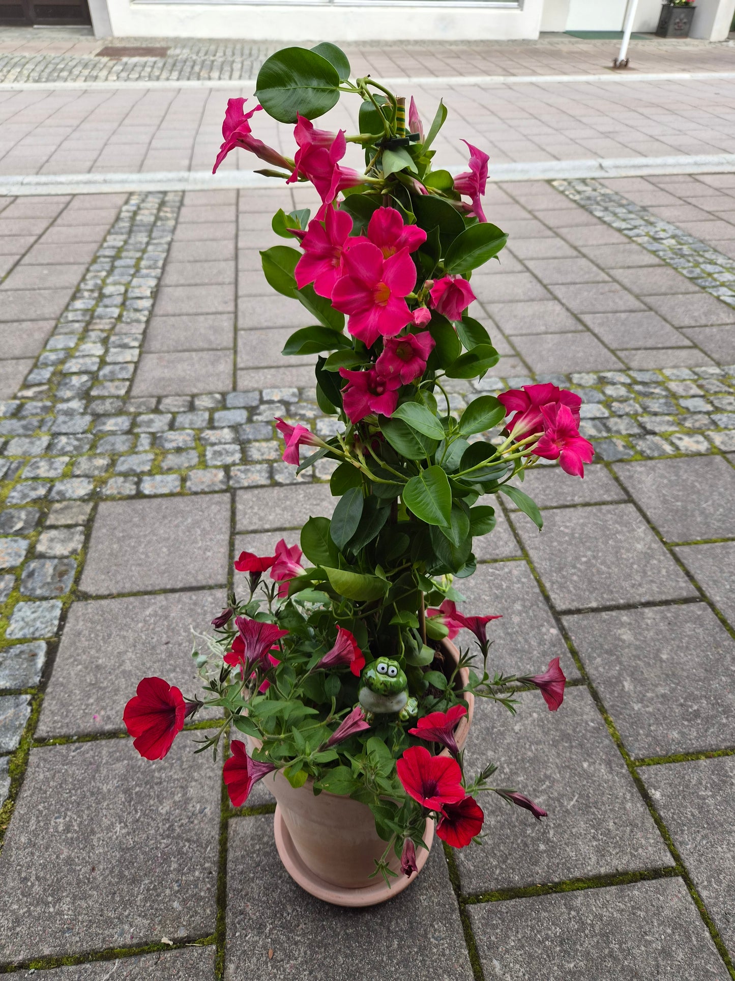 Pynta ynde med krukke