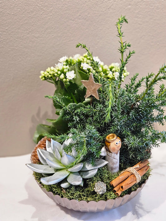 Kvit allergivennleg samanplantning