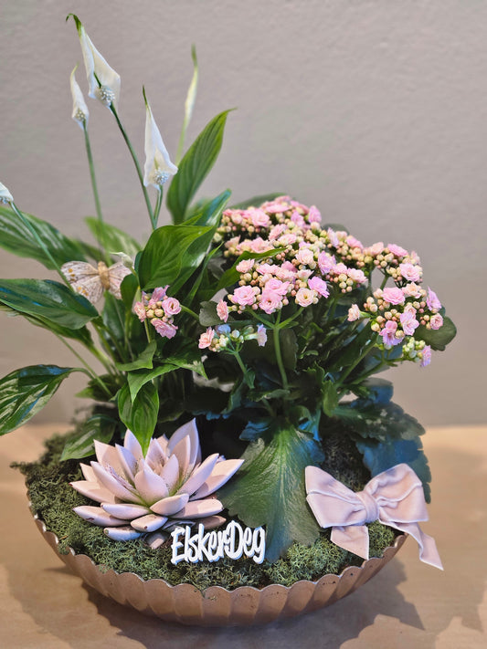 Lys rosa samanplantning