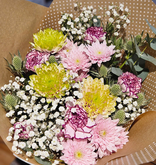 Chrysanthemum mix medium
