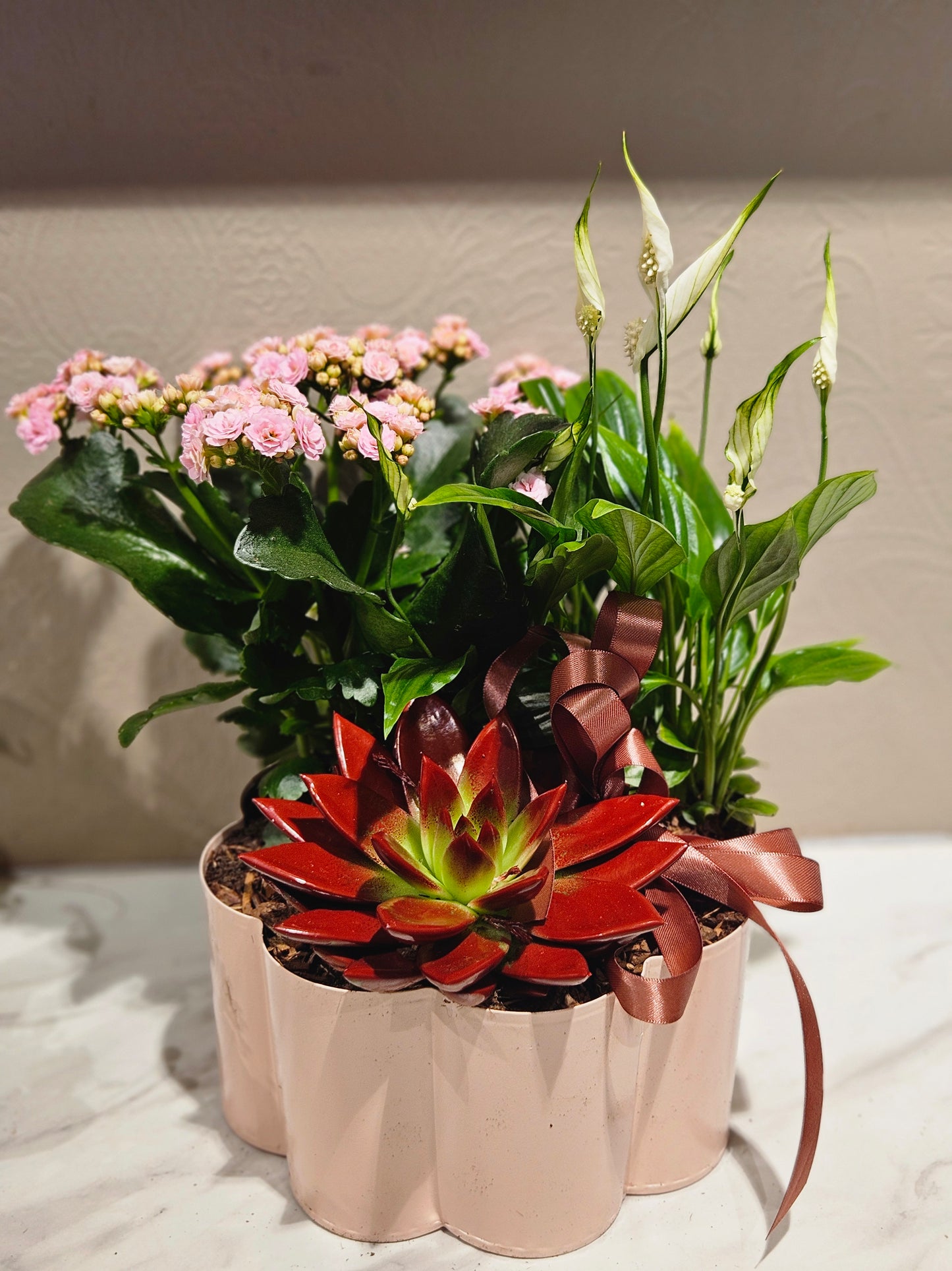 Samanplantning med rosa ildtopp