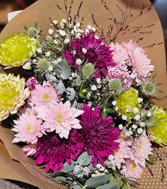 Chrysanthemum mix stor