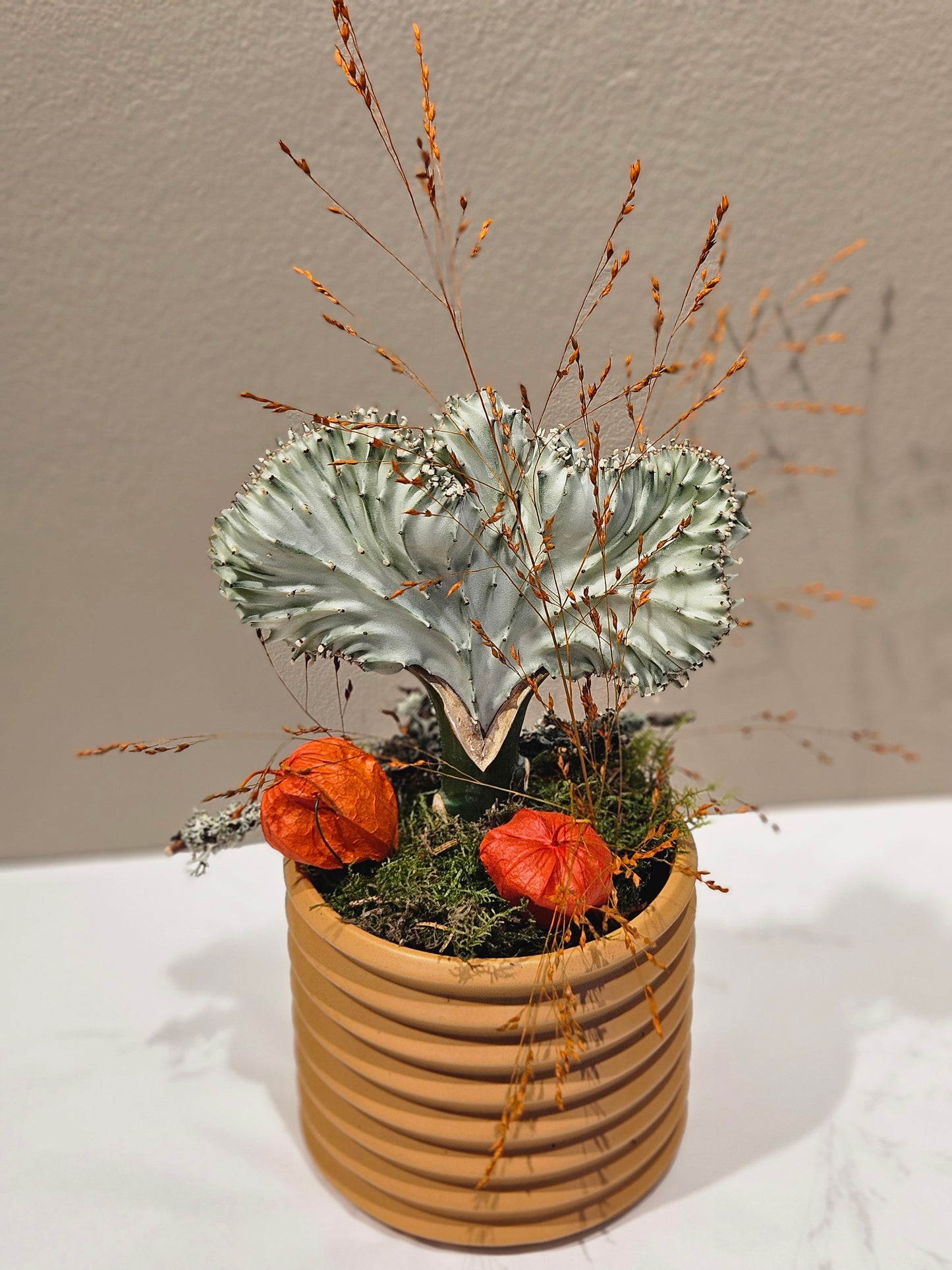 Pynta plante med krukke