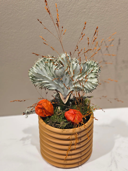 Pynta plante med krukke