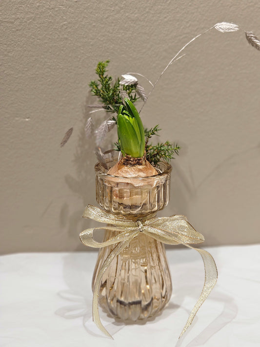 Kvit svibel i vase med pynt