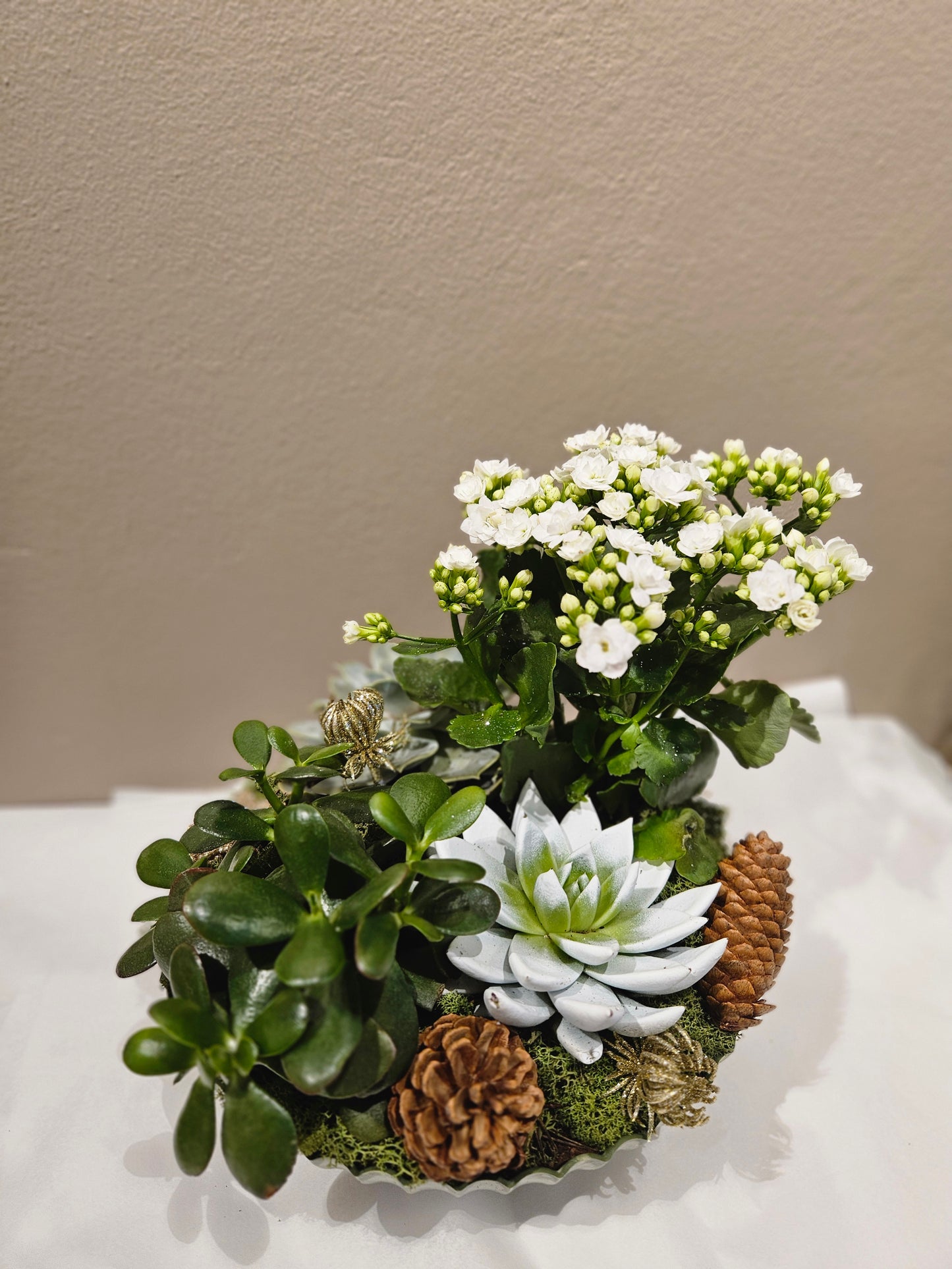 Lys allergivennleg samanplantning