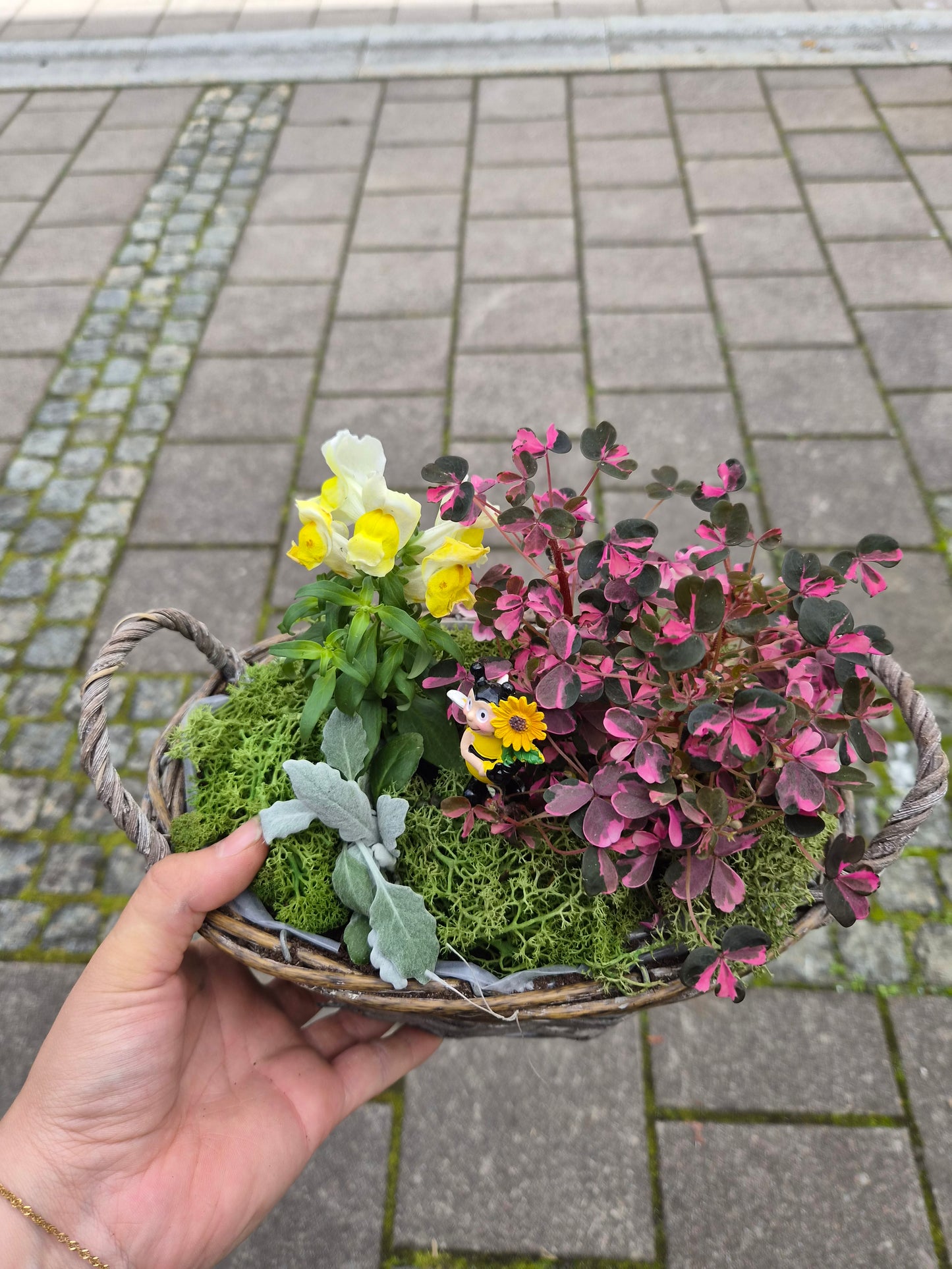 Sommarkorg