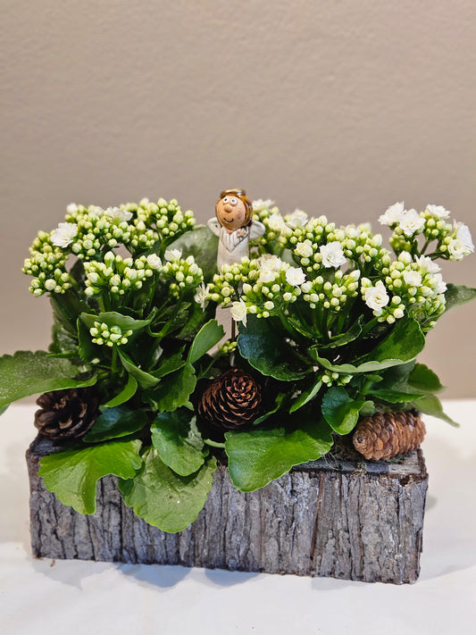 To Ildtopp med glitter og pynt