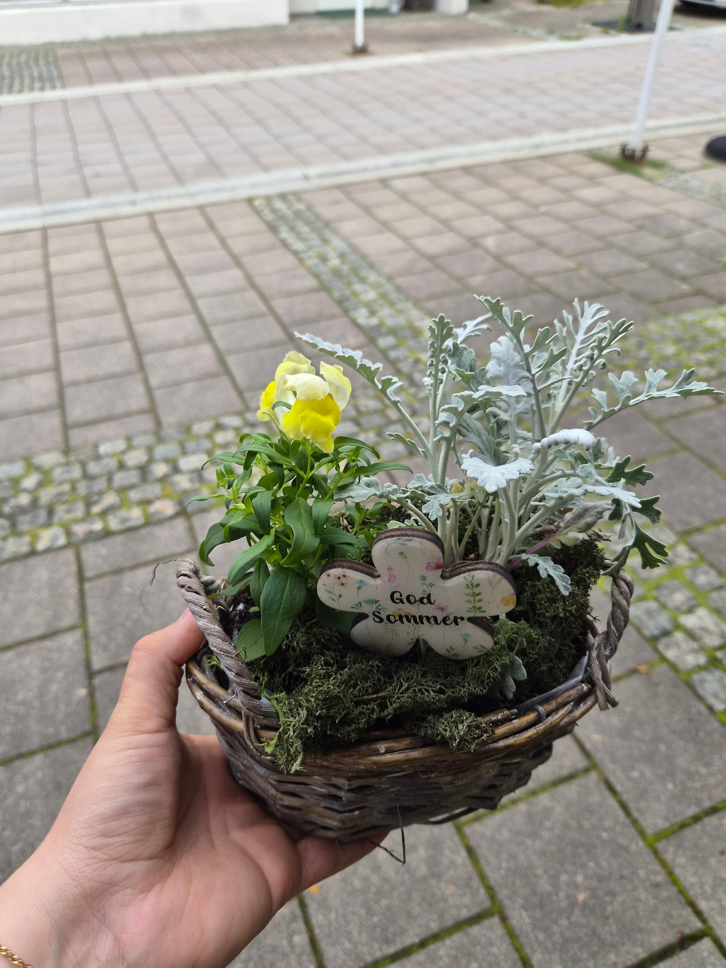 Liten sommarkorg, utegruppe