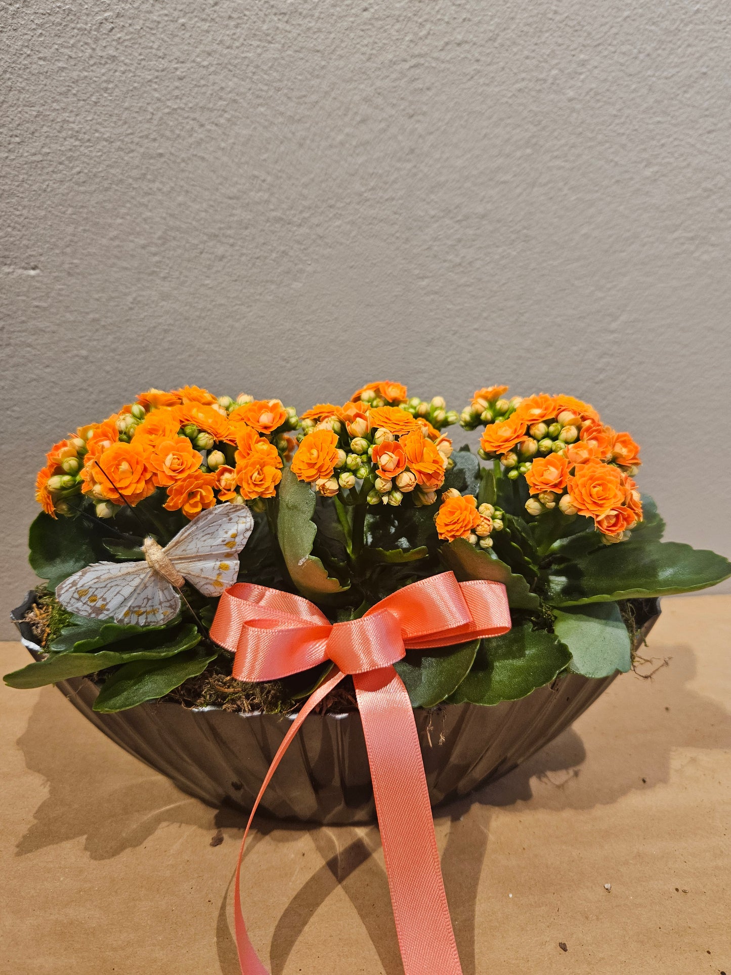 Mini avlang samanplantning