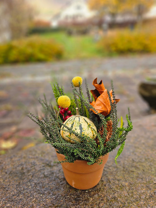 Pynta lyng med gresskar