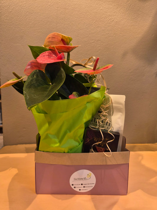 Gåvepose med anthurium, kaffe og sjokolade