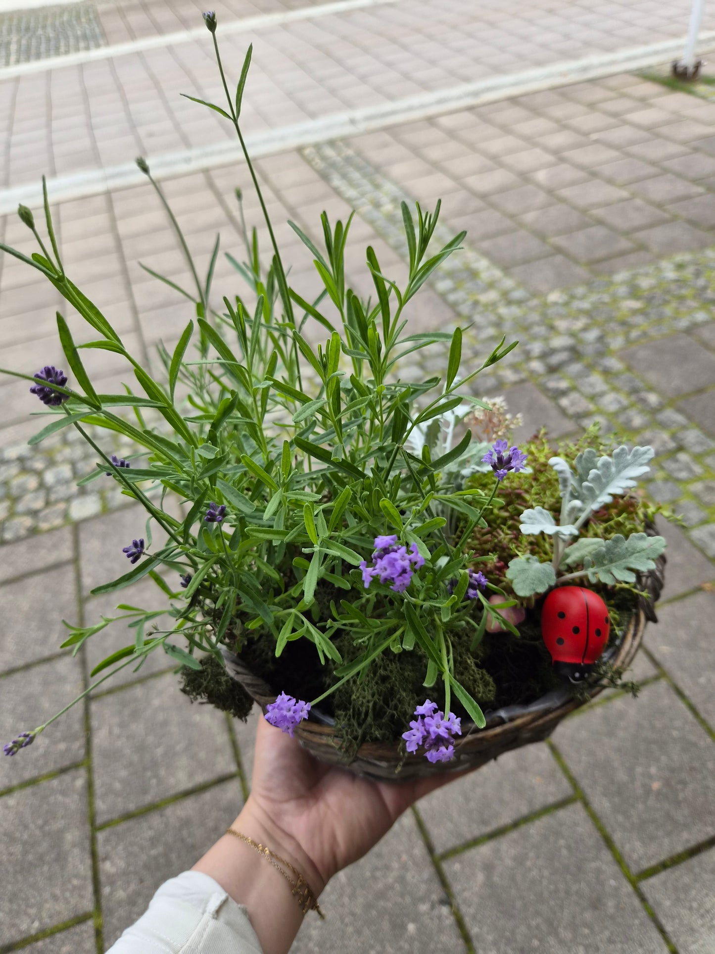 Sommarkorg, utegruppe