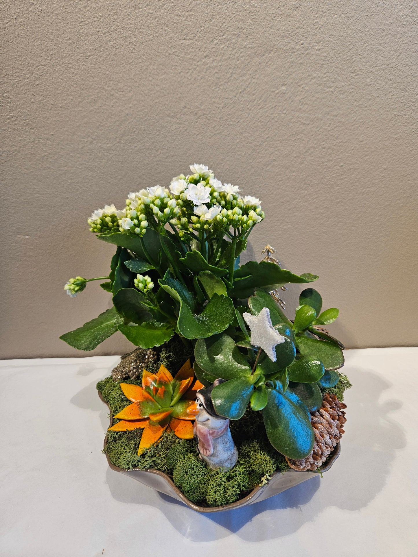 Lys allergivennleg samanplantning