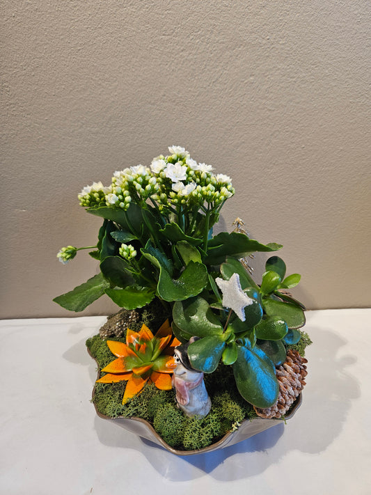 Lys allergivennleg samanplantning